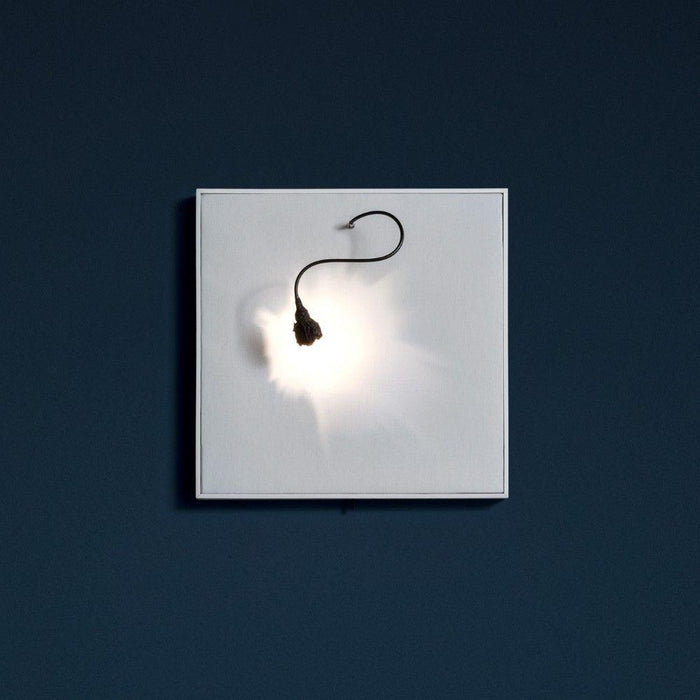 Catellani & Smith Luce Che Dipinge Wall