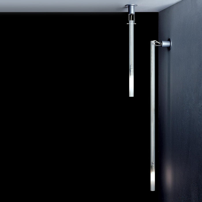NEMO CANNA NUDA Ceiling