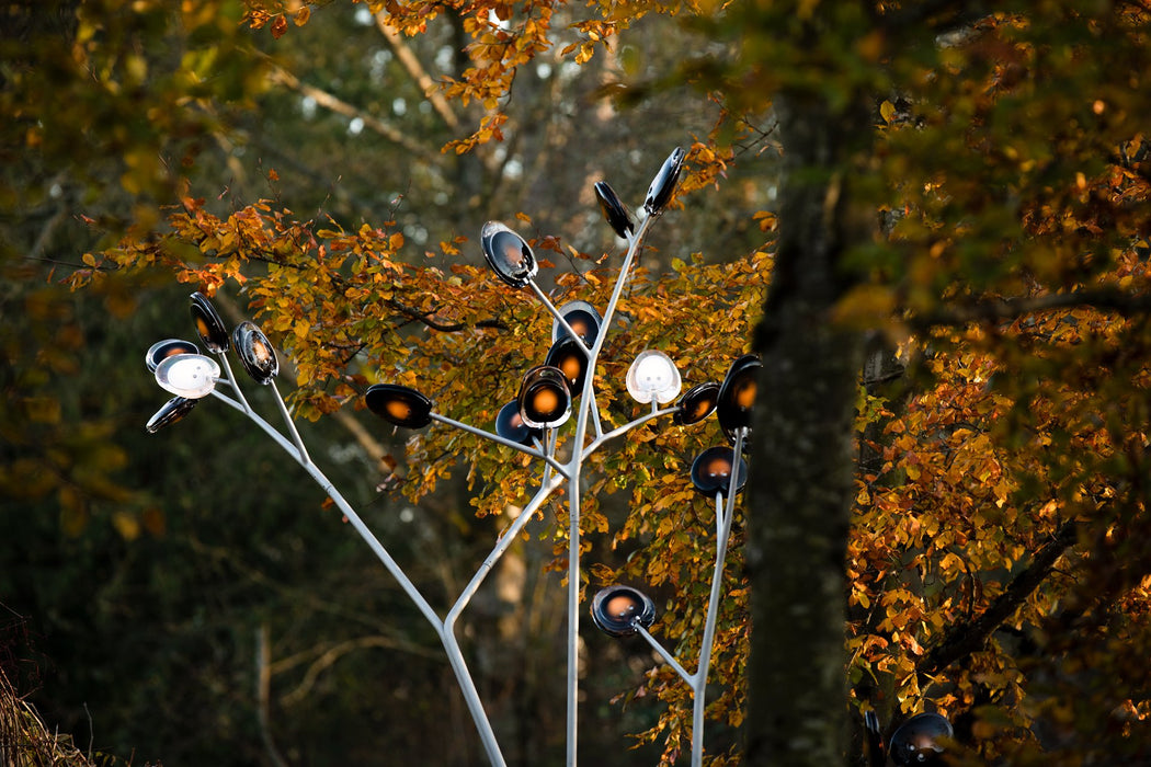 BOCCI 16 Tree  Hanging