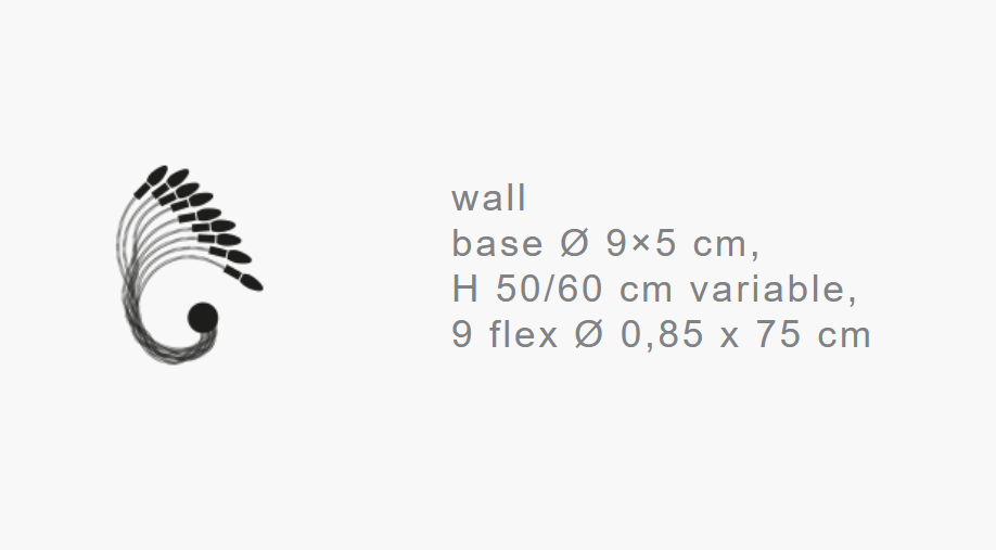 Catellani & Smith  Turciu 9 Wall